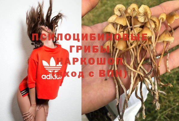 крисы Алексин