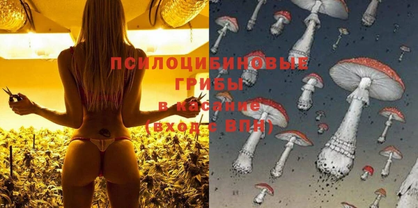 гашик Алзамай