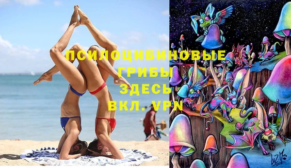 крисы Алексин